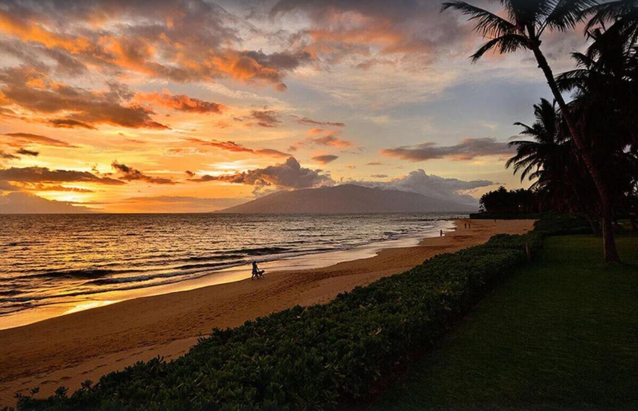 Ferienwohnung Tropical Maui Kamaole B-Bldg Wailea  Exterior foto